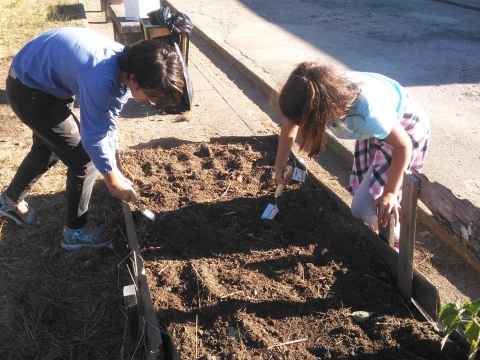 Preparação do solo dos canteiros elevados em outubro pelos alunos do Clube Eco.